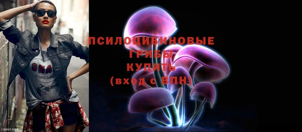 амф Беломорск