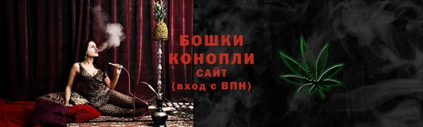 PSILOCYBIN Балахна